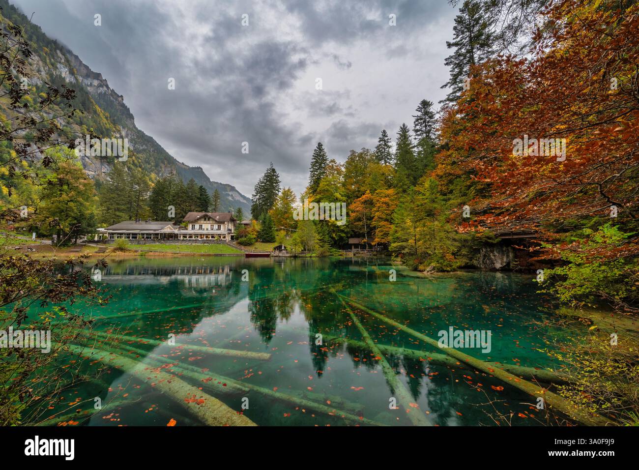 Blausee Schweiz, Naturlandschaft am Blauen See in der Herbstsaison Stockfoto