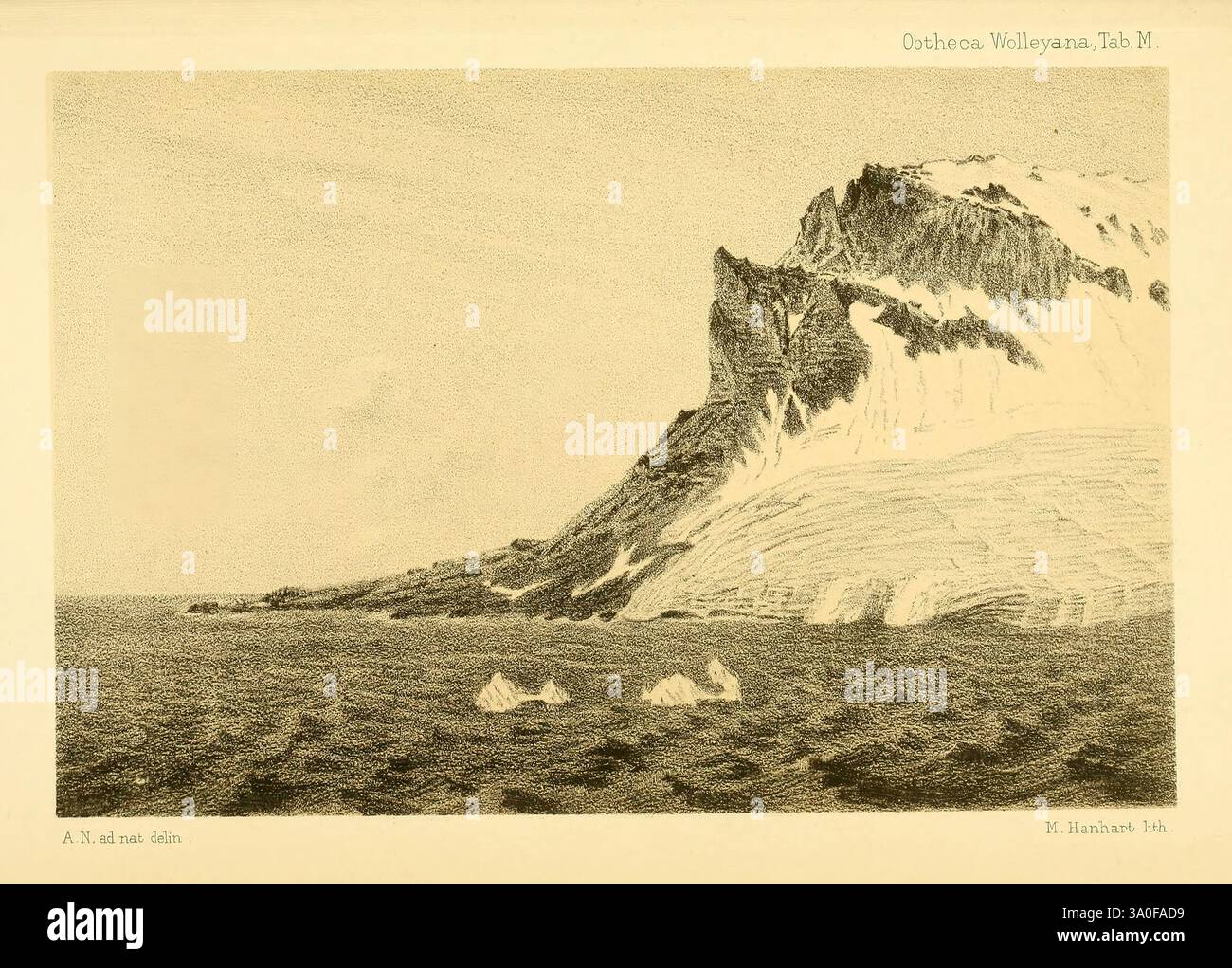Ootheca, Wolleyana, London, verkauft von R. H. Porter, 1864–1907., Eine zerklüftete Berglandschaft mit einem markanten Gipfel, der durch scharfe, eckige Linien gekennzeichnet ist. Im Vordergrund erstreckt sich der strukturierte Boden über die Szene, der den Blick auf die dramatischen Klippen und den schneebedeckten Gipfel lenkt. Der Berg ist teilweise durch sanftes Gelände verdeckt, was die starken Kontraste von Licht und Schatten hervorhebt, die die natürlichen Konturen und Formationen betonen. Die Gesamtkomposition weckt ein Gefühl von Pracht und die raue Schönheit einer abgelegenen Wildnis. Stockfoto