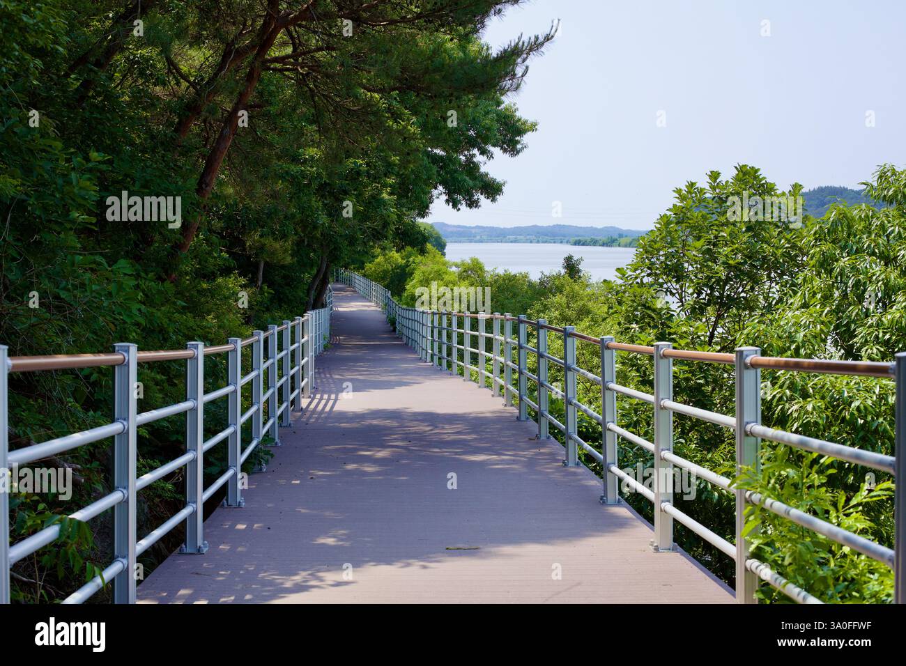 Buyeo County, Südkorea - 27. Mai 2021: Eine ruhige, erhöhte Promenade schlängelt sich durch üppige grüne Bäume und bietet einen malerischen Blick auf den Geum River Stockfoto