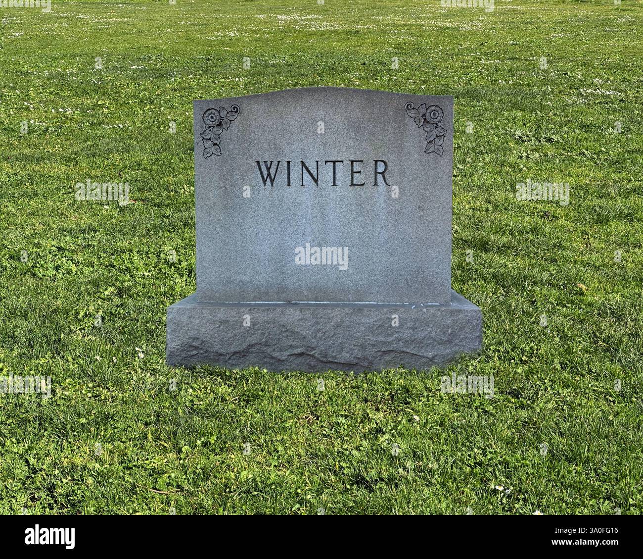 Der Frühling kommt! - Smartphone-aufgenommenes Stockfoto