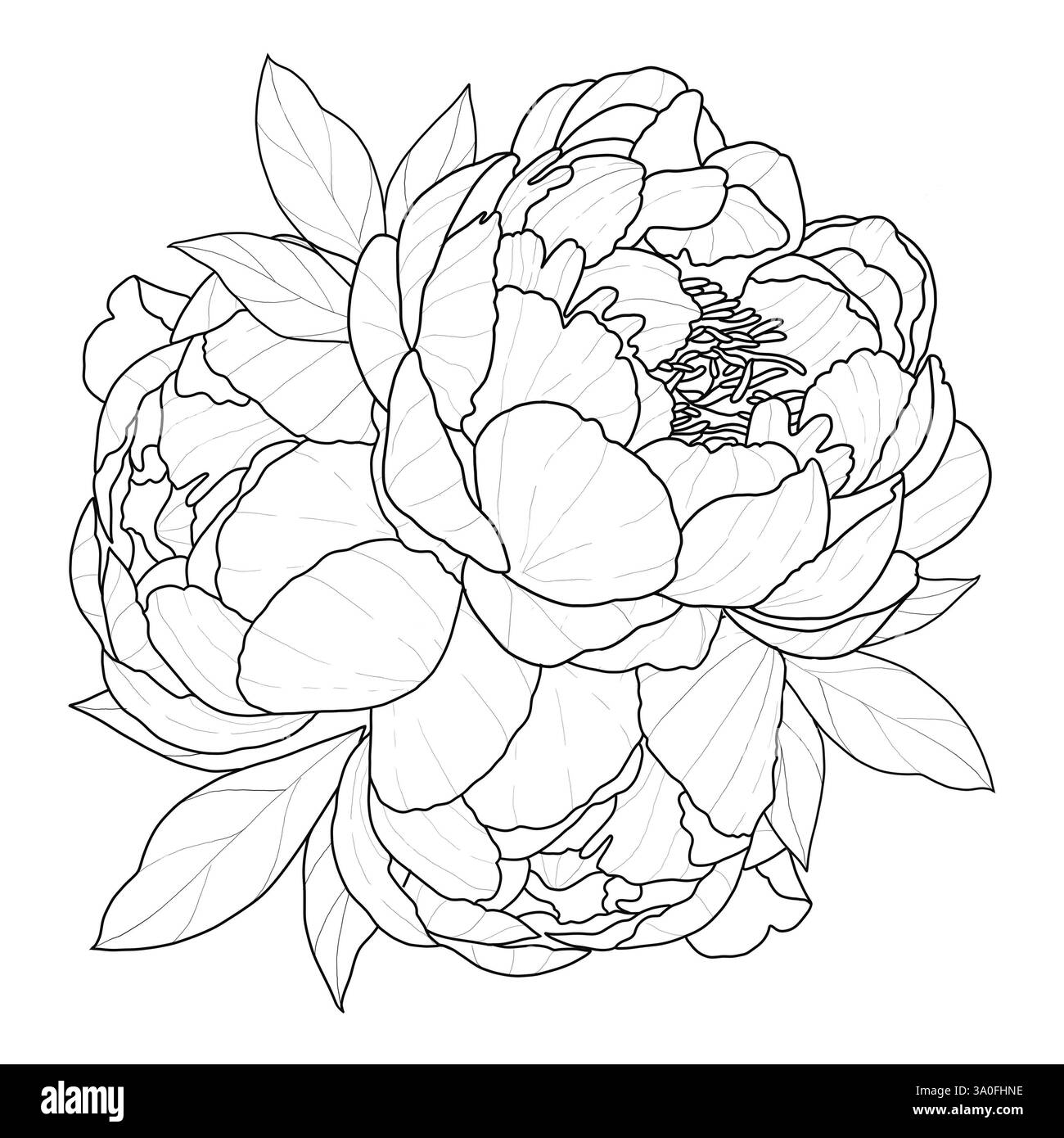 Blumengestell mit Pfingstrosen Stockfoto