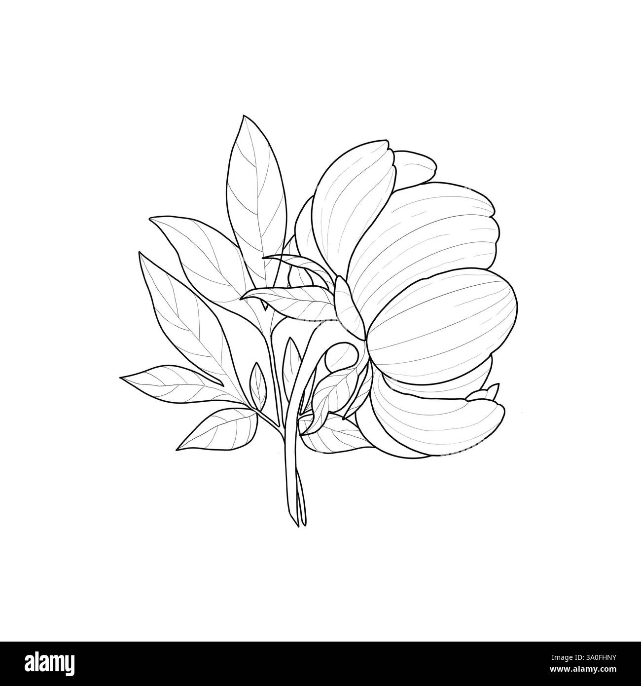 Blumengestell mit Pfingstrosen Stockfoto