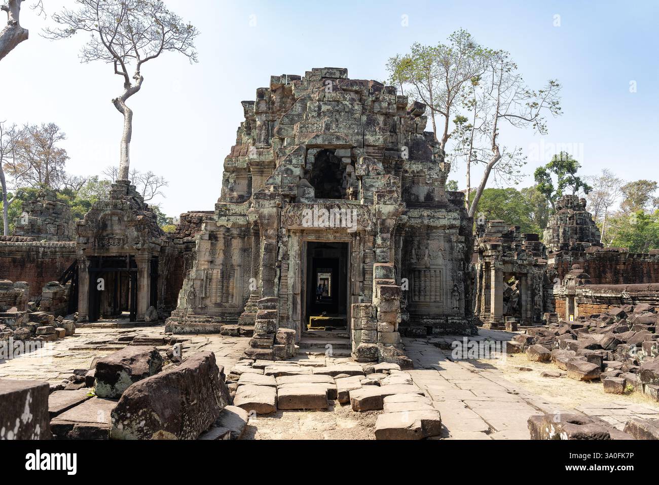 Ta Prohm Antiker Tempel, Kambodscha Stockfoto