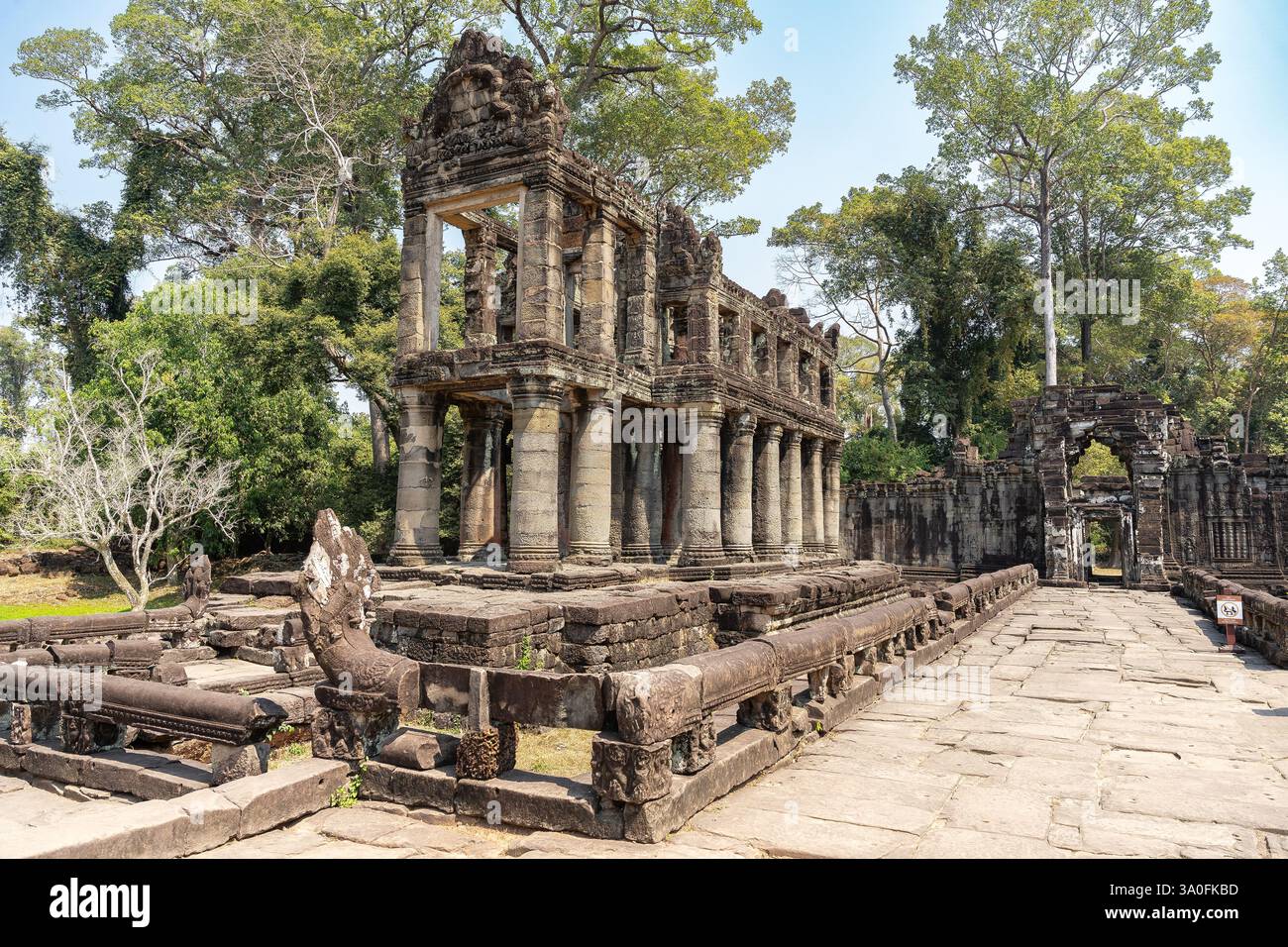 Ta Prohm Antiker Tempel, Kambodscha Stockfoto