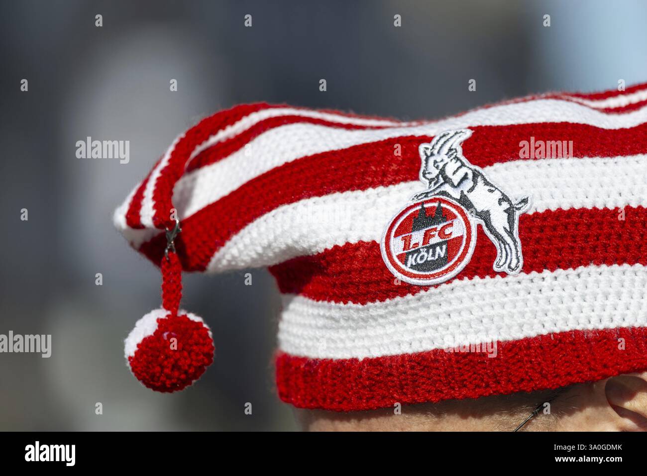 Jecken, Rosenmontag, Karneval, Köln, Rheinland, Nordrhein-Westfalen, Deutschland, Europa Stockfoto