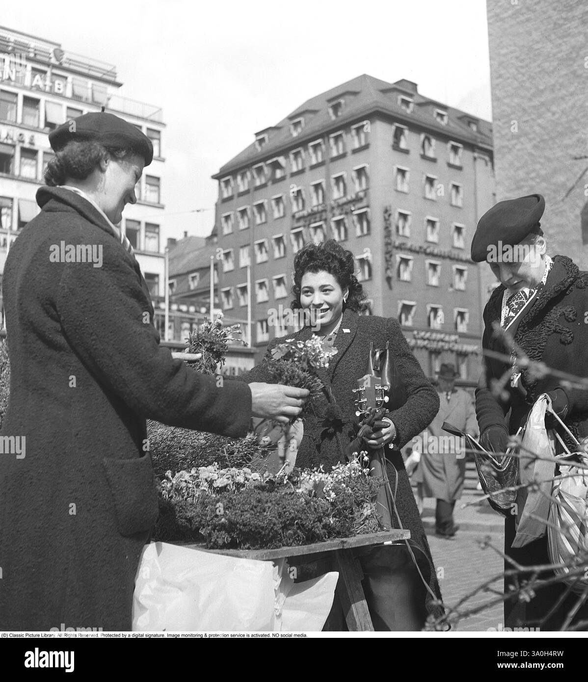 1945 in Hötorget in Stockholm Schweden. Eine lebhafte Szene auf dem Blumenmarkt im Freien. Drei Frauen, die Mitte der 1940er Jahre in Mänteln und Baskenmützen gekleidet sind, nehmen an einem Stand mit blühenden Pflanzen und Blumen einen fröhlichen Austausch Teil. Eine Frau, die warm lächelt, überreicht einen Blumenstrauß, während eine andere eine Topfpflanze hält. Eine dritte Frau, die ebenfalls lächelnd ist, trägt Einkaufstaschen mit sich, was zur geschäftigen Nachkriegsatmosphäre des Alltags beiträgt. Im Hintergrund erheben sich die mehrstöckigen Gebäude von Hötorget, deren Fenster und Schilder den urbanen Charme Stockholms widerspiegeln. Kristoffersson Ref. 134-1 Stockfoto