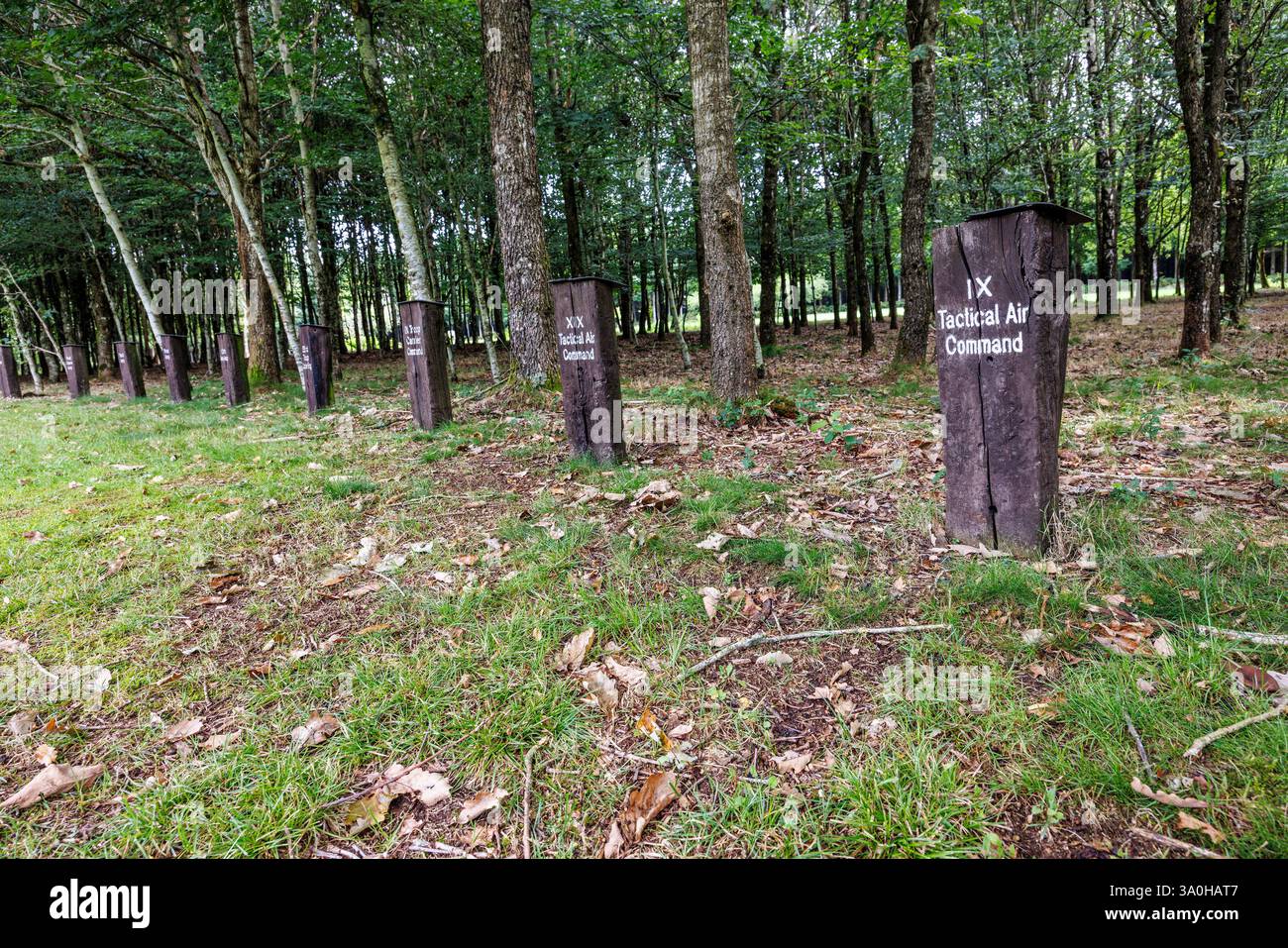 Taktische Air Command Markers, Peace Wood (Wald der Freiheit), Ardennen, Belgien Stockfoto