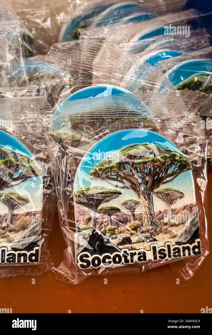 Farbenfrohe Souvenirs zeigen die legendären Drachenblutbäume auf Socotra Island, die ihre einzigartige Artenvielfalt und ihren Charme repräsentieren. Stockfoto