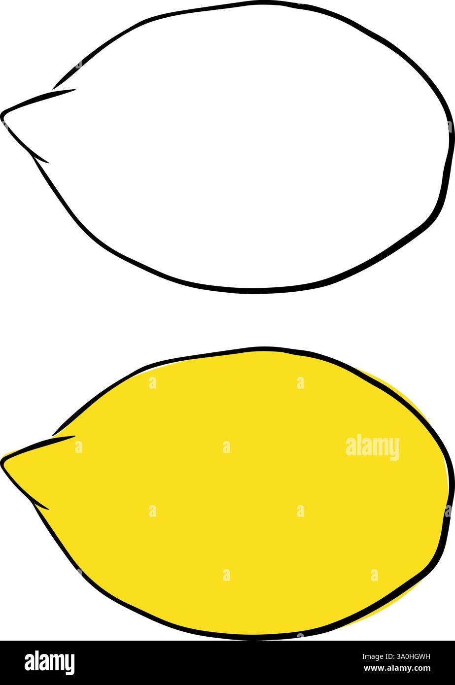 Illustration mit grafischer Tinte in Zitrone. Isolierter Vektor auf transparentem Hintergrund gelbe Zitrusfrüchte Stock Vektor