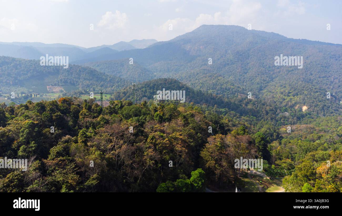 Aus der Vogelperspektive auf einen üppig grünen Wald mit sanften Hügeln und Bergen, die eine ruhige und malerische Landschaft in Thailand mit verschmutzter Luft schaffen Stockfoto