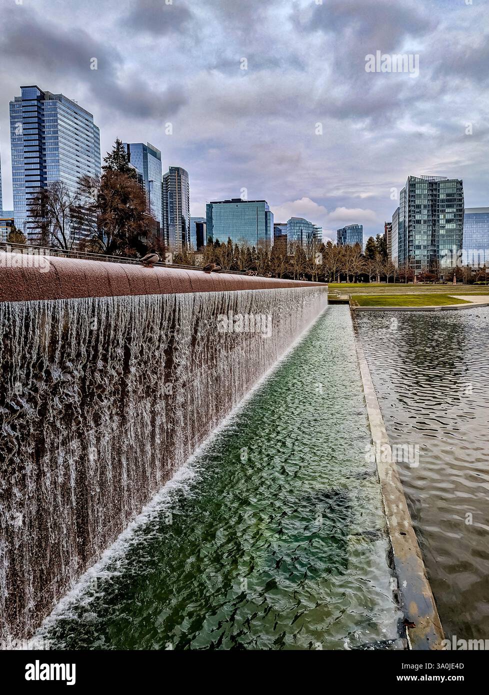 Bellevue City Park Wasserfall Stockfoto
