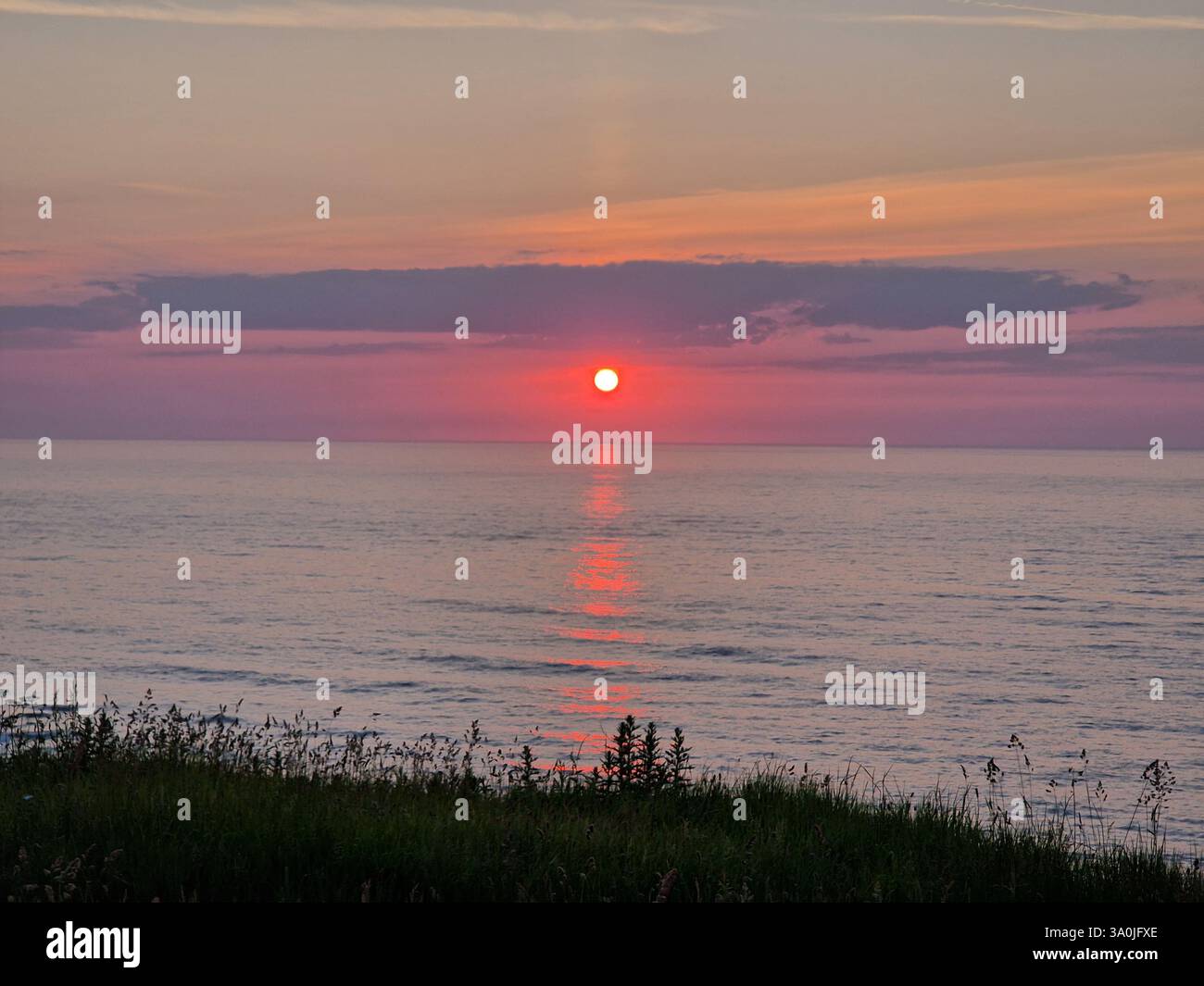 Goldener Sonnenaufgang über Seaham Beach an einem warmen Sommermorgen, der ein ruhiges Leuchten über die ruhigen Wellen wirft. - Smartphone-aufgenommenes Stockfoto