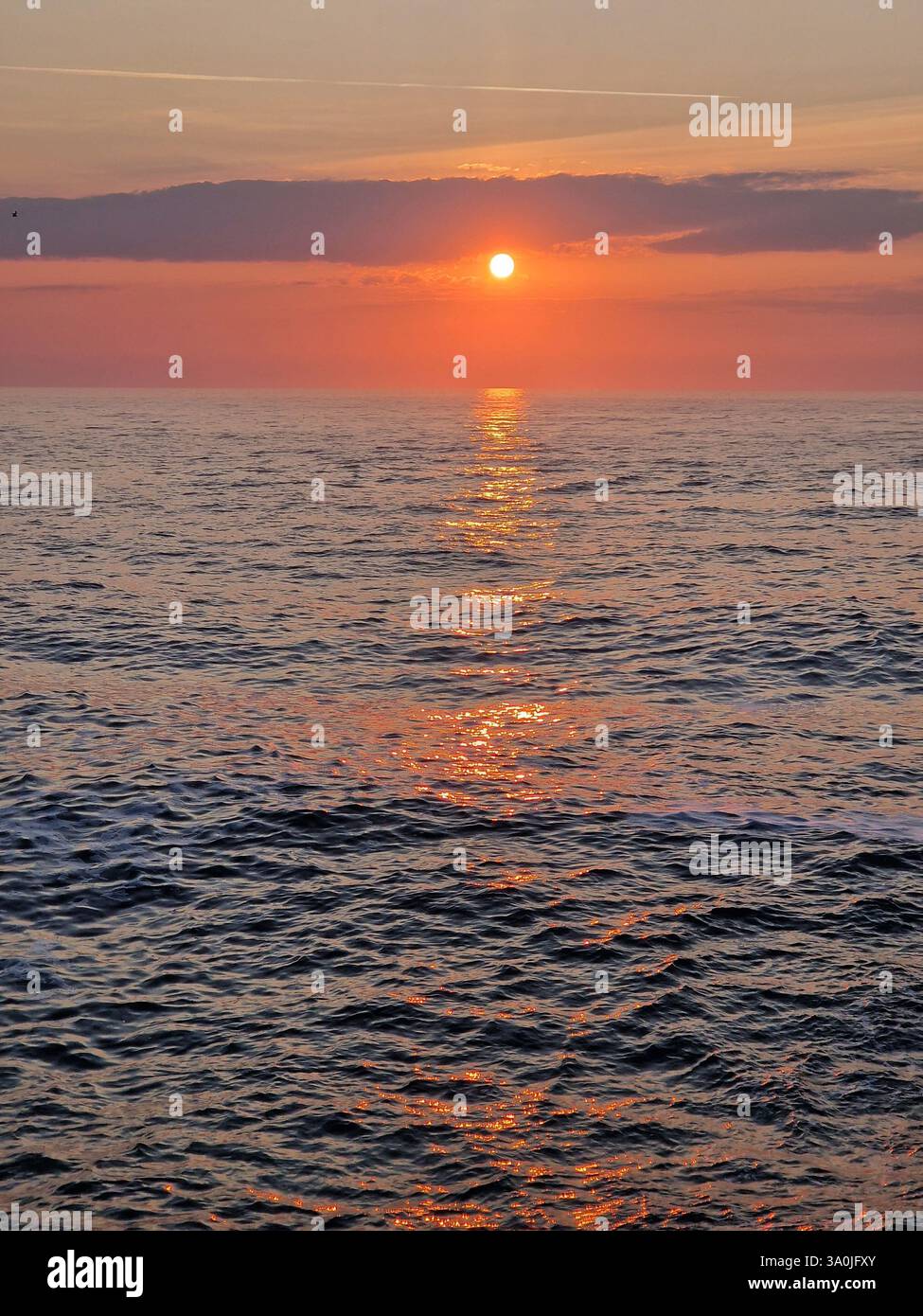 Goldener Sonnenaufgang über Seaham Beach an einem warmen Sommermorgen, der ein ruhiges Leuchten über die ruhigen Wellen wirft. - Smartphone-aufgenommenes Stockfoto