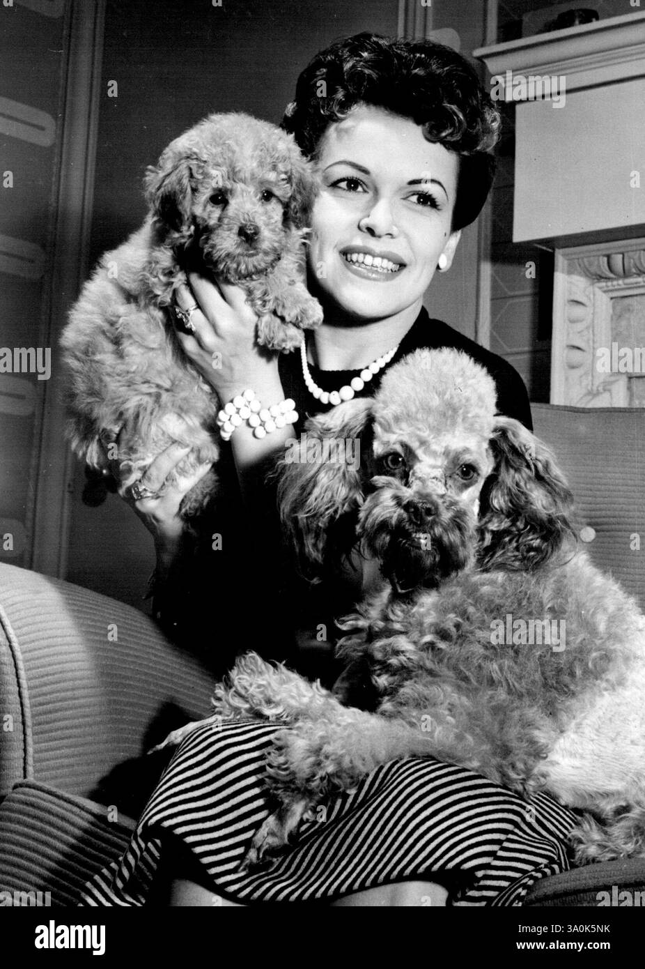 Der Welpe lächelte zur Kamera, aber seine Schnurrhaare versteckten sie. Eve Boswell, Radio- und Fernsehstar in London, hat ihn gehört, kann sich keinen Namen für ihn einfallen lassen. An ihrer Seite steht die Mutter des Welpen, Sugar Bush. September 1954. Stockfoto