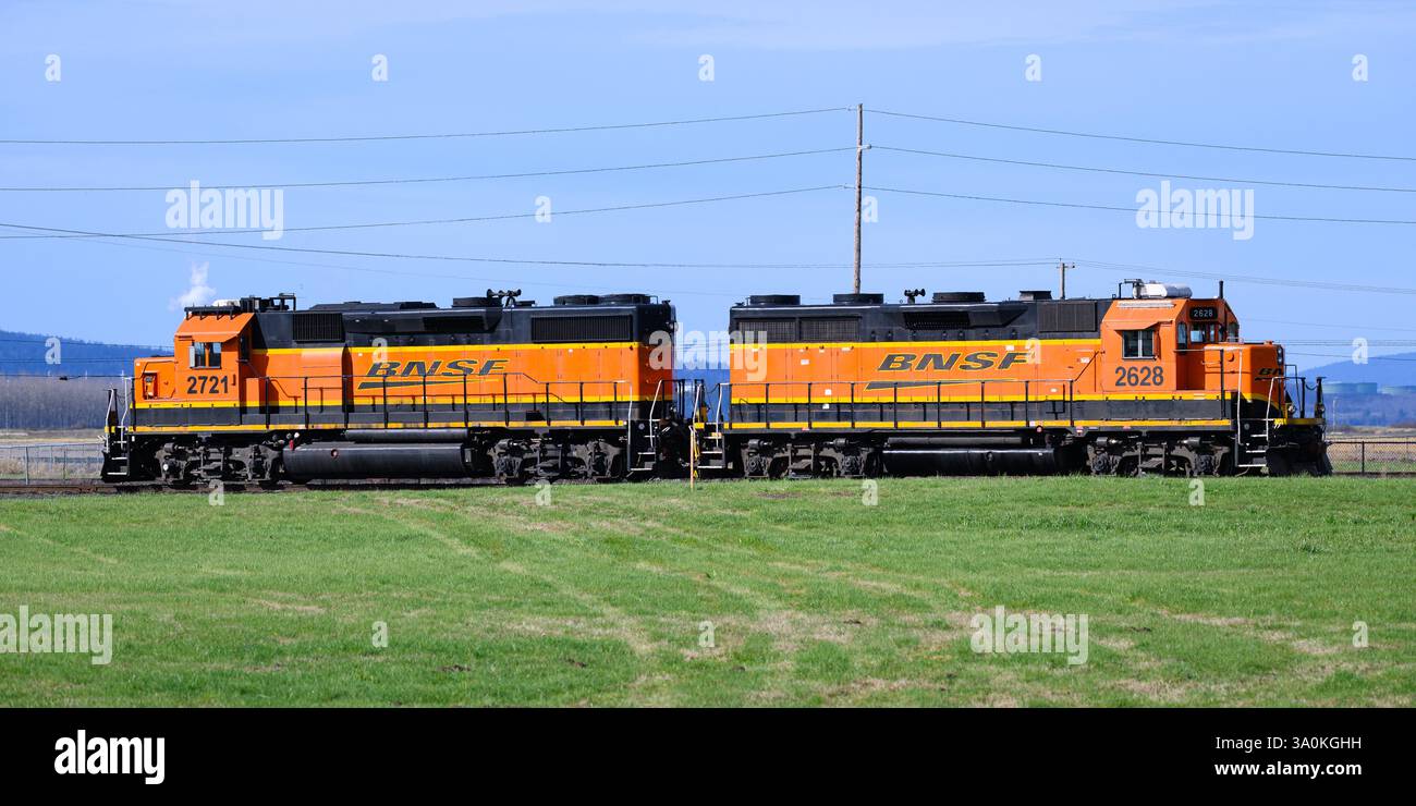 Mount Vernon, WA, USA - 26. Februar 2025; Paar BNSF GP39 Diesellokomotive auf grünem Rasen auf dem ländlichen Feld Stockfoto