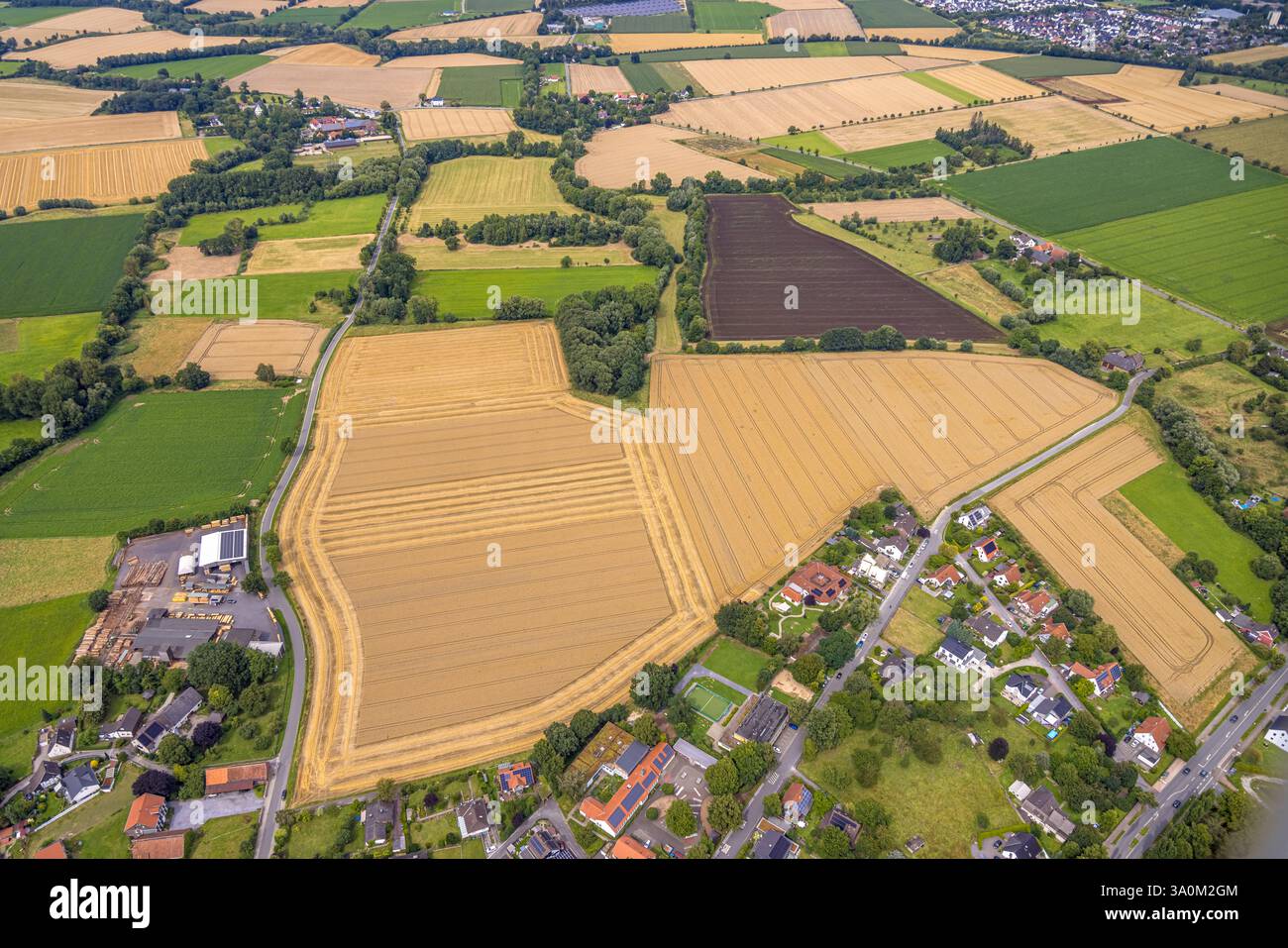 Luftaufnahme, Lothar Seuthe Sägewerk und landwirtschaftliche Fläche an der Schwefer Straße in Ampen, Soest, Soester Börde, Nordrhein-Westfalen, Deutschland Stockfoto