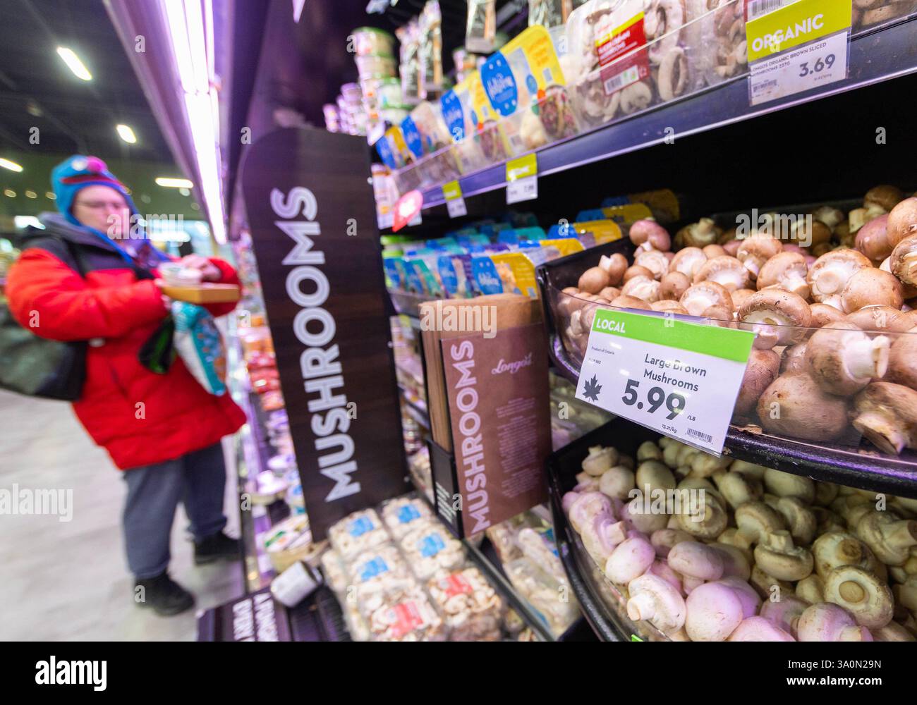 Toronto, Kanada. März 2025. Ein Preisschild mit dem Wort „LOCAL“ ist am 4. März 2025 in einem Supermarkt in Toronto, Ontario, Kanada, zu sehen. Die kanadische Bundesregierung kündigte am Dienstag ein detailliertes Zollpaket an, nachdem Premierminister Justin Trudeau gelobt hatte, dass Kanada nicht von einem Kampf gegen den von US-Präsident Donald Trump initiierten Handelskrieg zurückweichen werde. Quelle: Zou Zheng/Xinhua/Alamy Live News Stockfoto