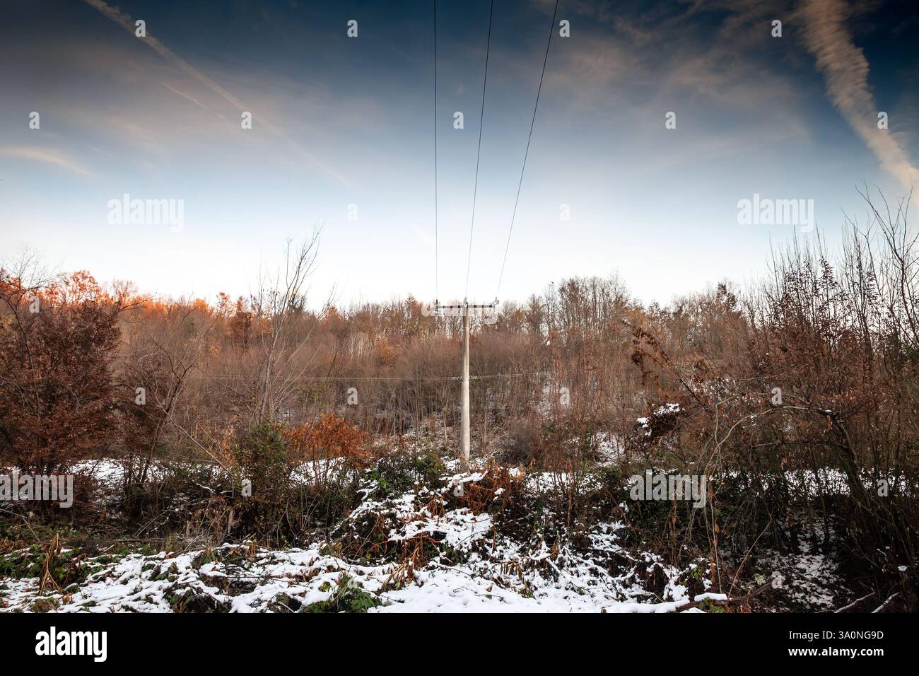 Stromleitungen führen durch ein verschneite, bewaldetes Gebiet in der Landschaft Serbiens und zeigen wichtige Energieinfrastrukturen. Die Winterszene hebt den wichtigen hervor Stockfoto