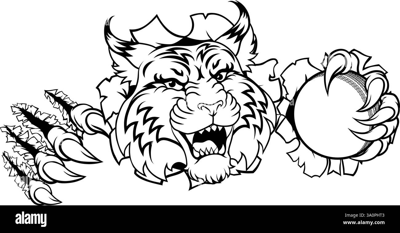 Wildcat Bobcat Cricket Ball Tier Team Maskottchen Stock Vektor