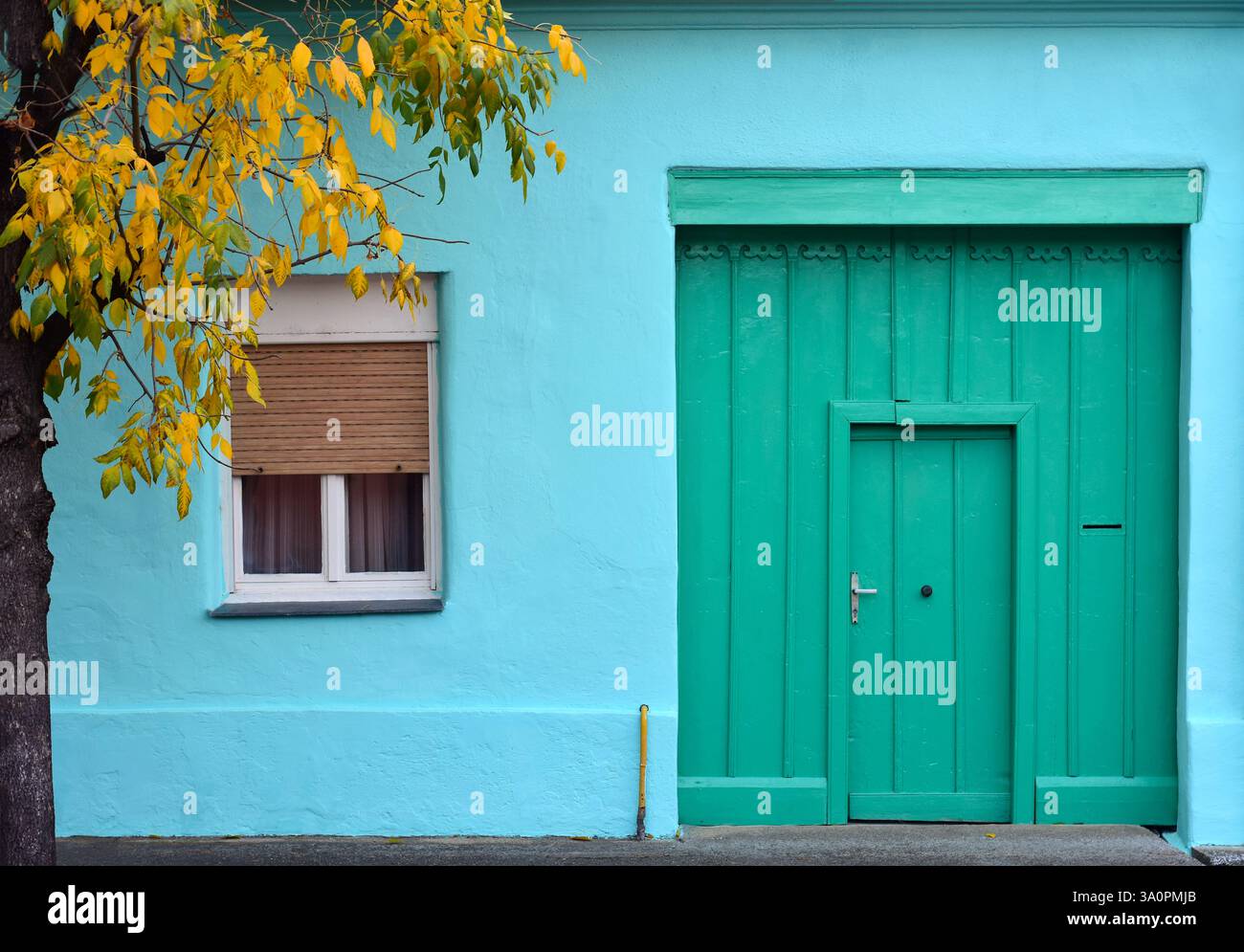 Alte grüne Holztür an einem blauen Haus und Baum mit gelben Blättern Stockfoto