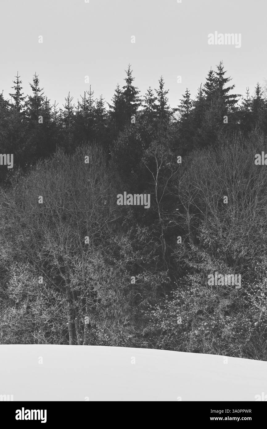 Fotografie aus der Landschaft entlang der ehemaligen Skreiabanen Eisenbahn zwischen Lena und Kolbu, Toten, Norwegen, ein Tag im Januar 2025. Stockfoto