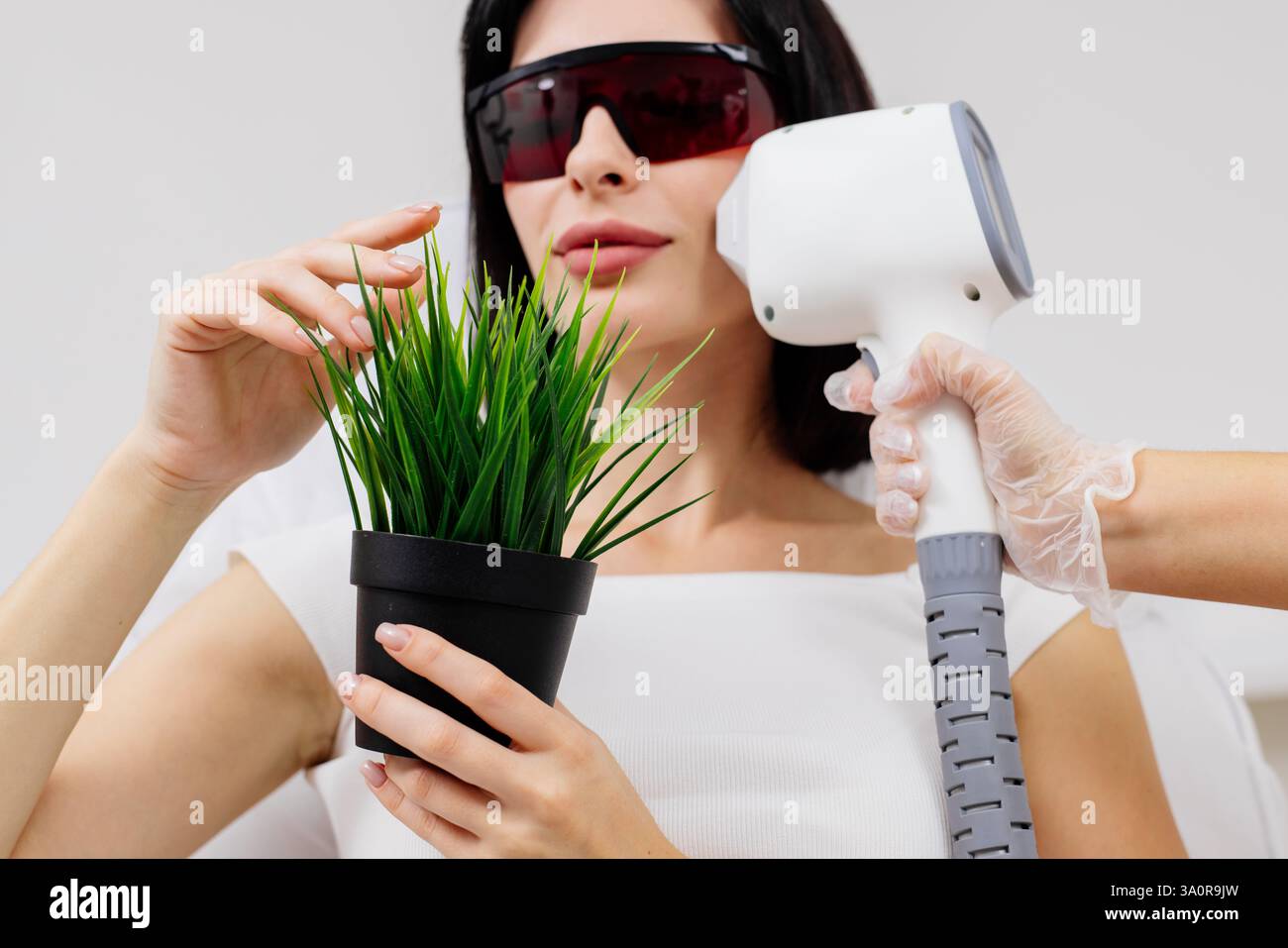 Eine zufriedene Frau, die sich einer Laser-Haarentfernung unterzieht, hält eine grüne Pflanze in den Händen. Haarentfernungskonzept. Das Verfahren zur Entfernung unerwünschter Vegetation Stockfoto Eine zufriedene Frau, die sich einer Laser-Haarentfernung unterzieht, hält eine grüne Pflanze in den Händen. Haarentfernungskonzept. Das Verfahren zur Entfernung unerwünschter Vegetation Stockfoto