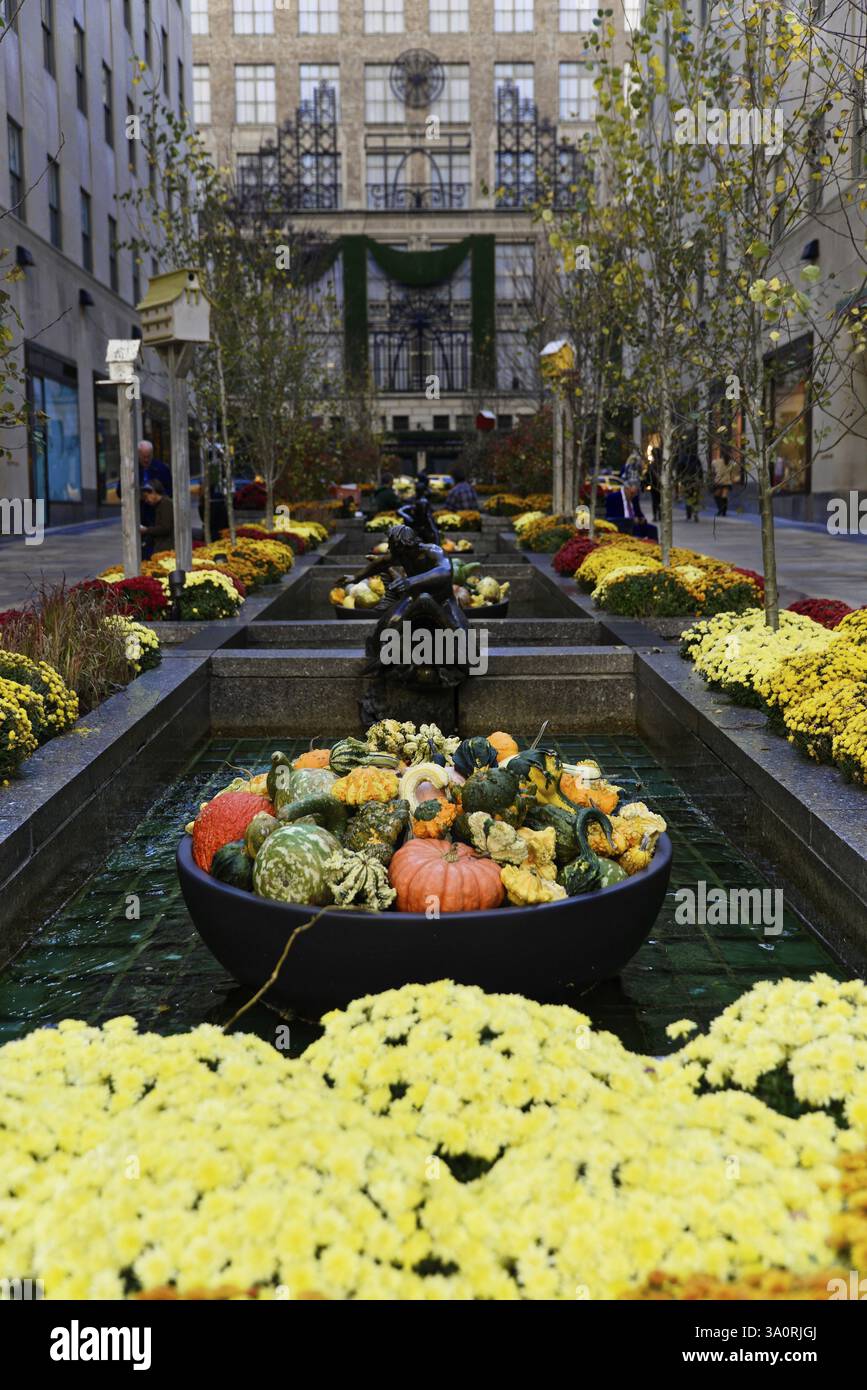 Rockefeller Center, Manhattan, New York, USA, Nordamerika, bunte Kürbisse und Blumen in einer urbanen Gartenlandschaft, New York City, Nordamerika Stockfoto