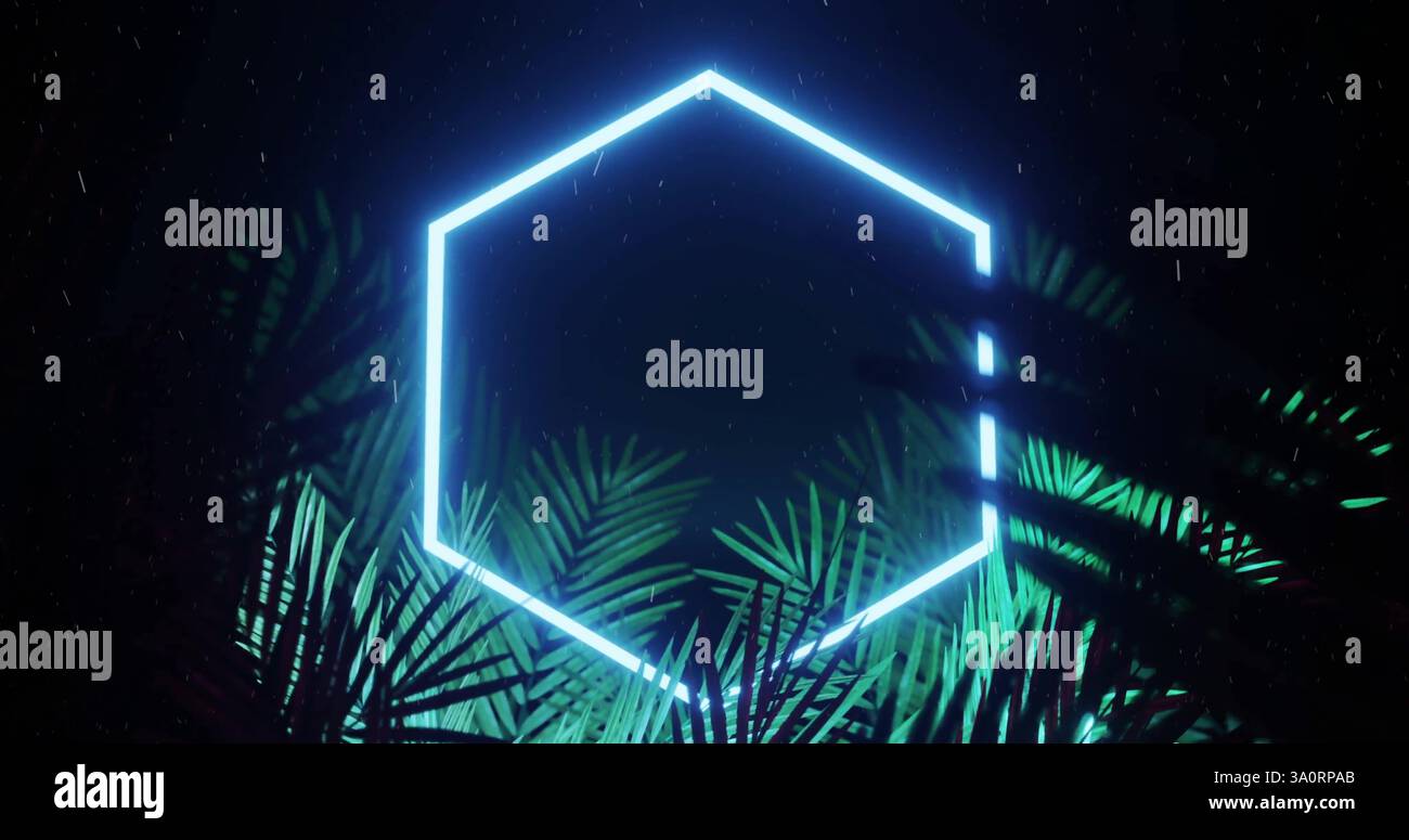 Bild der Neonform und der Blätter auf schwarzem Hintergrund Stockfoto