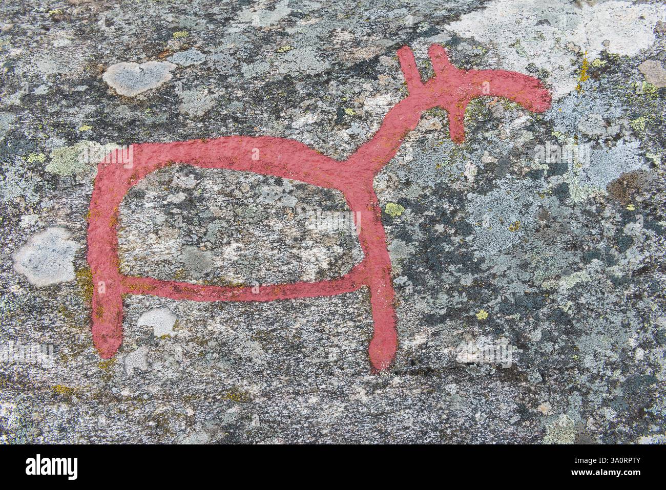 Diese antike Petroglyphen repräsentiert einen Hirsch, der in eine Felsoberfläche in Schweden eingeätzt ist und das reiche kulturelle Erbe und die künstlerischen Fähigkeiten des frühen i hervorhebt Stockfoto