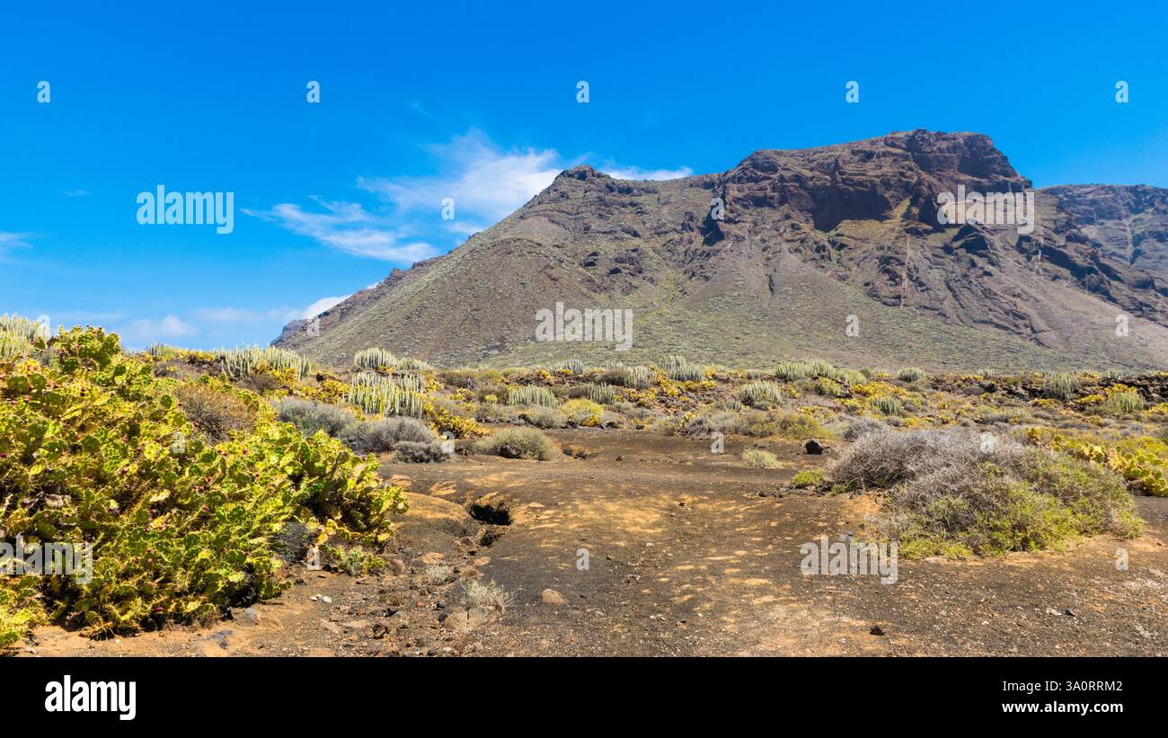 Südteneriffa einsame vulkanische Landschaft mit Teno-Bergen im Hintergrund, Teneriffa, Kanarische Insel, Spanien Stockfoto