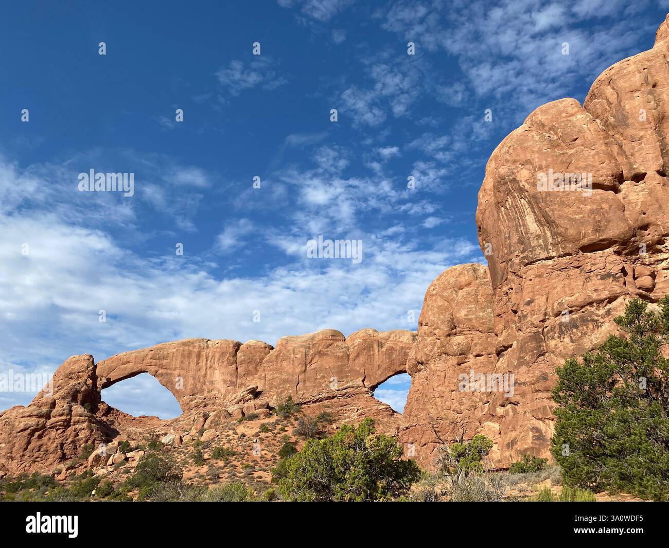 Atemberaubende Felsbögen erheben sich vor einem blauen Himmel in einer Wüstenlandschaft - Smartphone-aufgenommenes Stockfoto