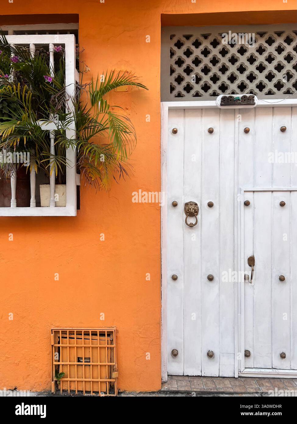 Weiße Holztür an einer orangefarbenen Wand mit tropischem Grün. - Smartphone-aufgenommenes Stockfoto