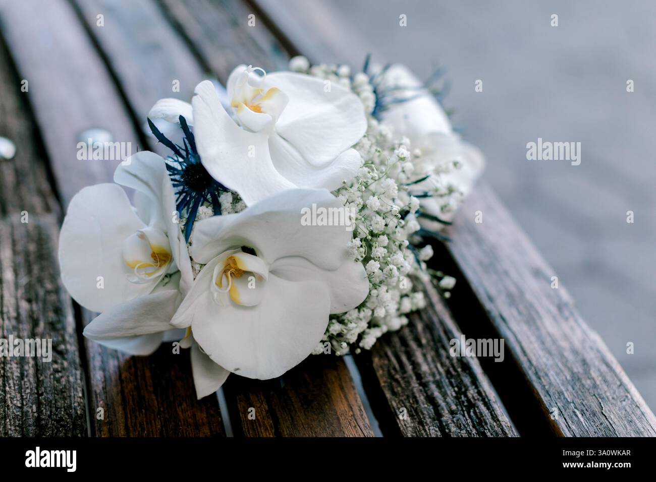 Ein zartes Arrangement aus weißen Orchideen mit Füllblumen, die auf einer Holzbank liegen und die natürliche Schönheit zeigen. Stockfoto