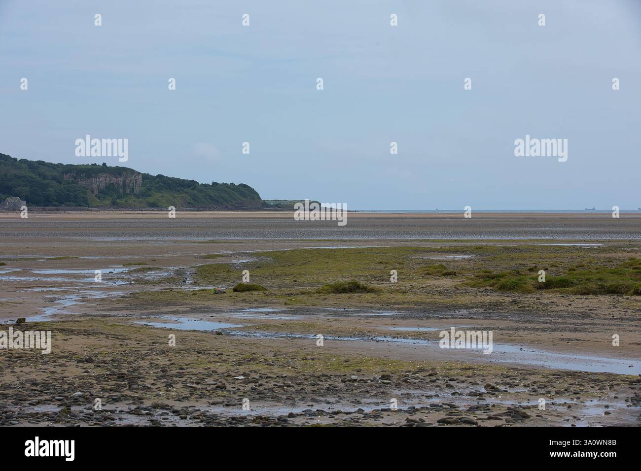 Landschaft in Red Wharf Bay auf der Isle of Anglesey bei Ebbe. Stockfoto