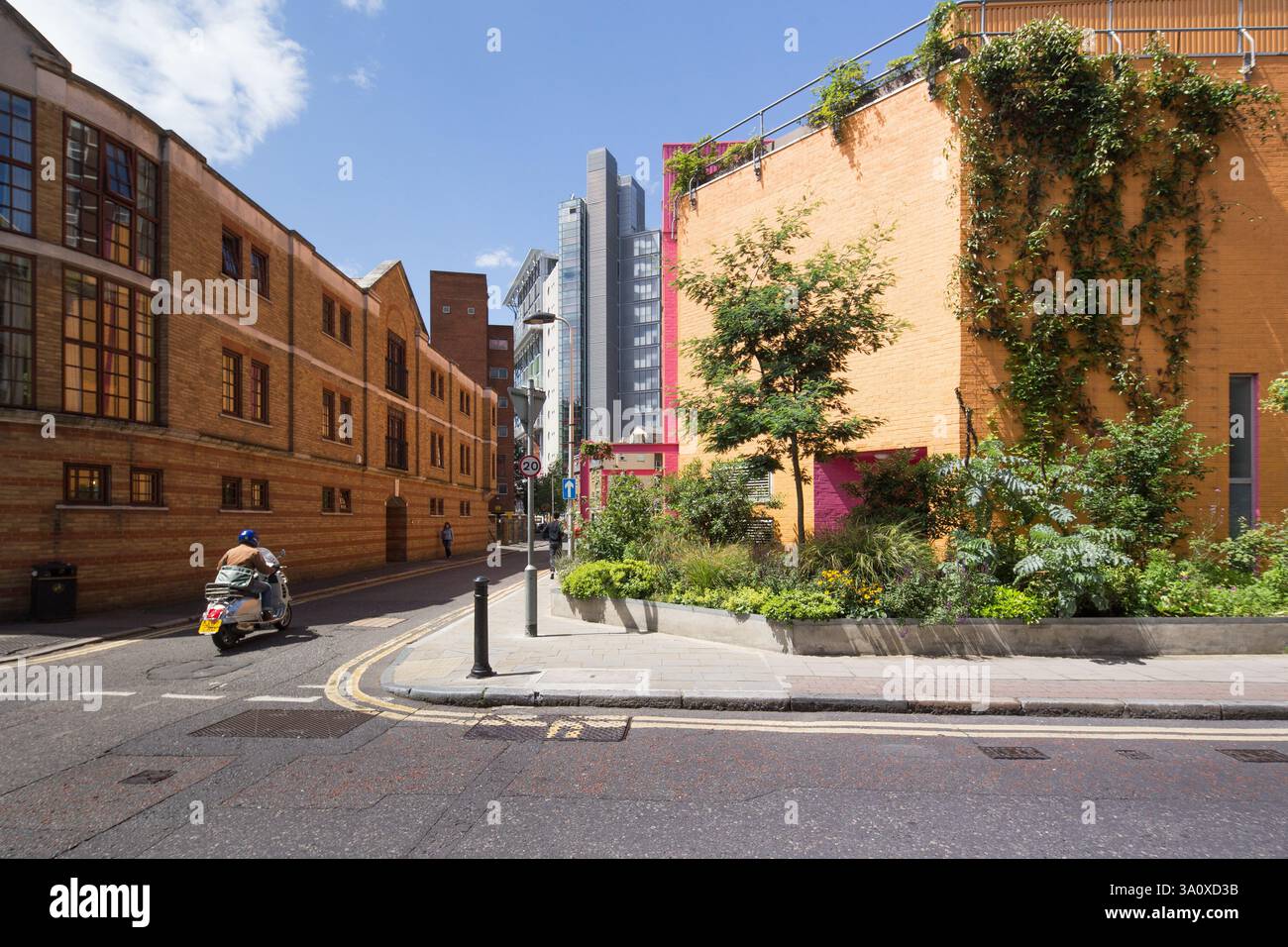 Lineare pocket Park im Greenwood Theater von British Fashion Designer Dame Zandra Rhodes und Garten Designer TV-Moderatorin Joe Swift Stockfoto