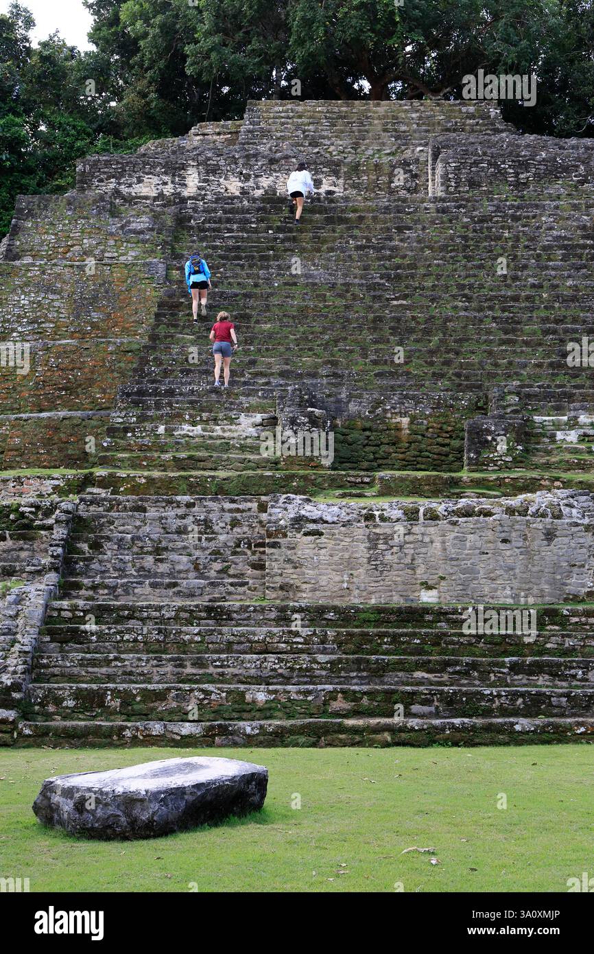 Besucher, die den Jaguar Tempel erklimmen. Archäologische Stätte Von Lamanai. Orange Walk District. Belize Stockfoto