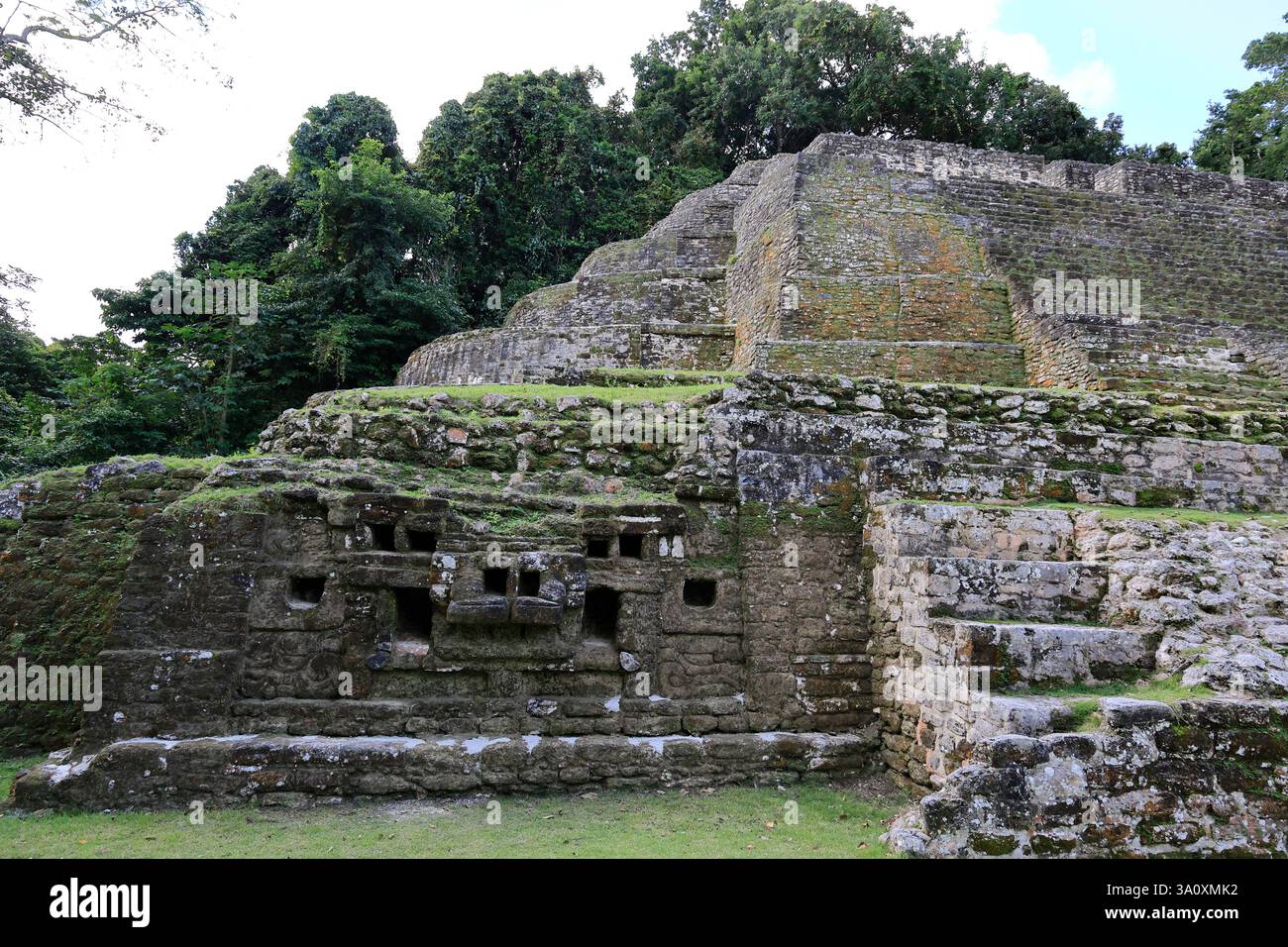 Besucher mit Reiseleiter vor dem Jaguar Tempel. Archäologische Stätte Von Lamanai. Orange Walk District. Belize Stockfoto