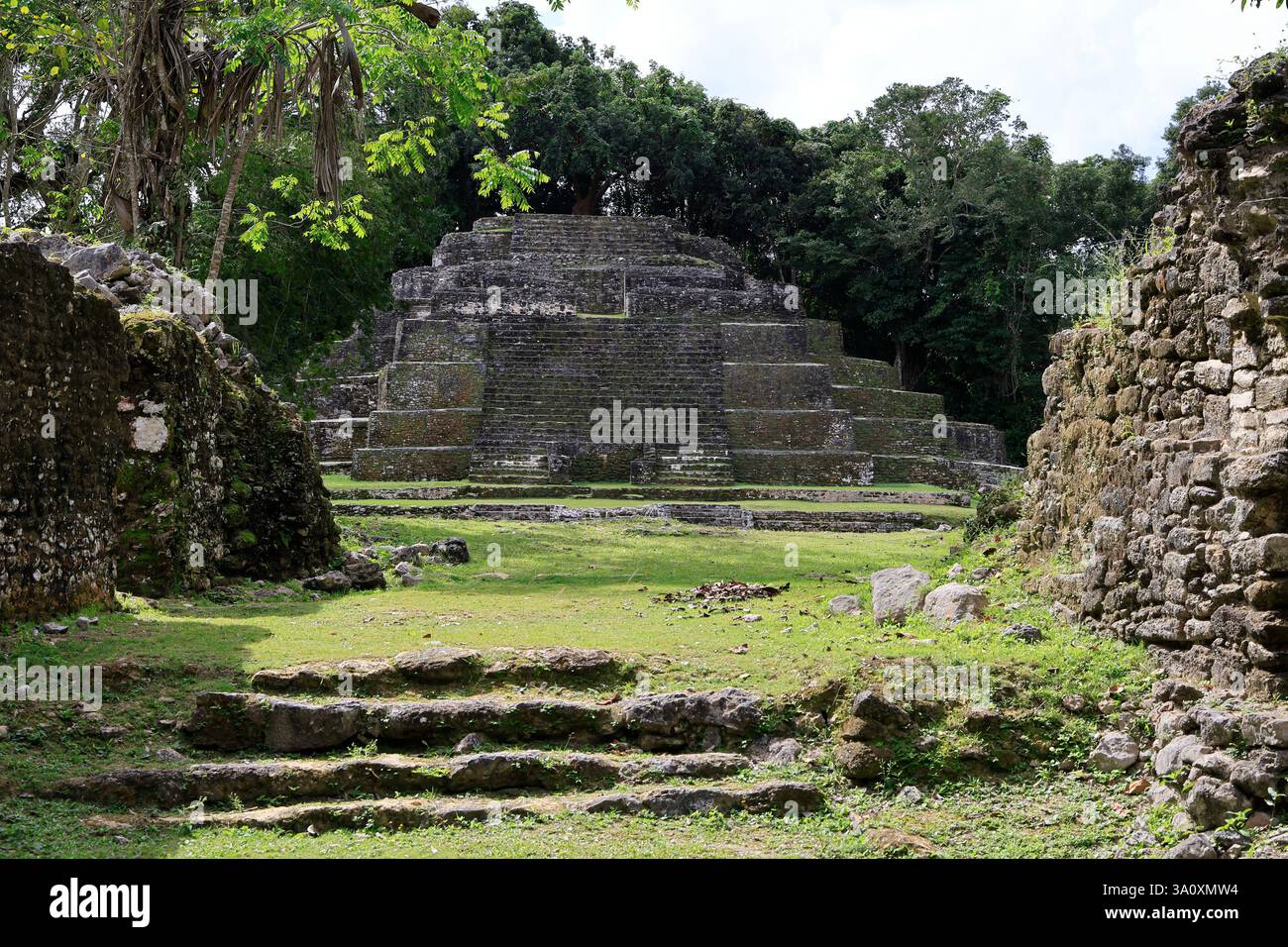 Besucher mit Reiseleiter vor dem Jaguar Tempel. Archäologische Stätte Von Lamanai. Orange Walk District. Belize Stockfoto