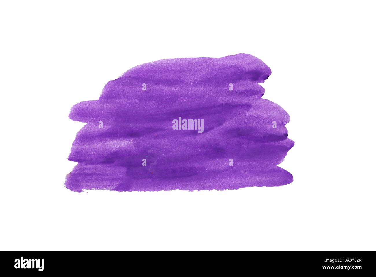 Lila Pinsel isoliert auf weißem Hintergrund und mit Beschneidungspfaden. Stockfoto