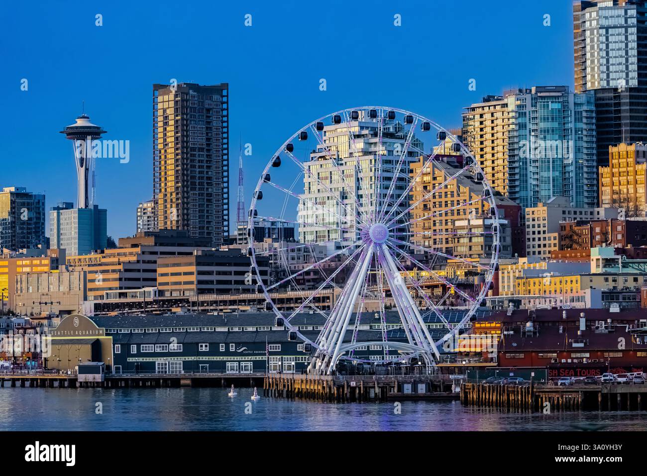 Space Needle und Seattle Great Wheel in Seattle, Washington State, USA Stockfoto
