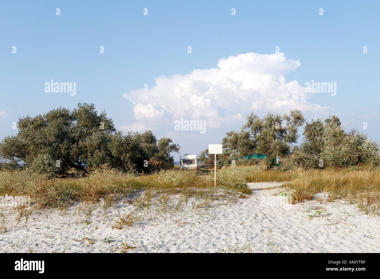 Ein Wohnwagen parkt in der Nähe eines Sandstrandes, umgeben von wilder Vegetation und Bäumen, was einen ruhigen und abgeschiedenen Campingplatz schafft. Stockfoto