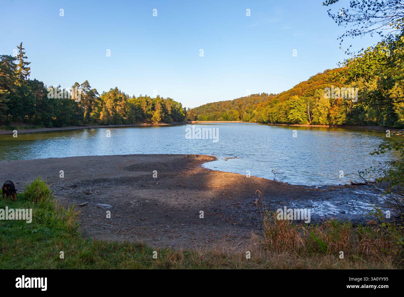 Siehe Bergsee Güntersberge Harz Selketal Wassermangel ausgetrocknet Stockfoto