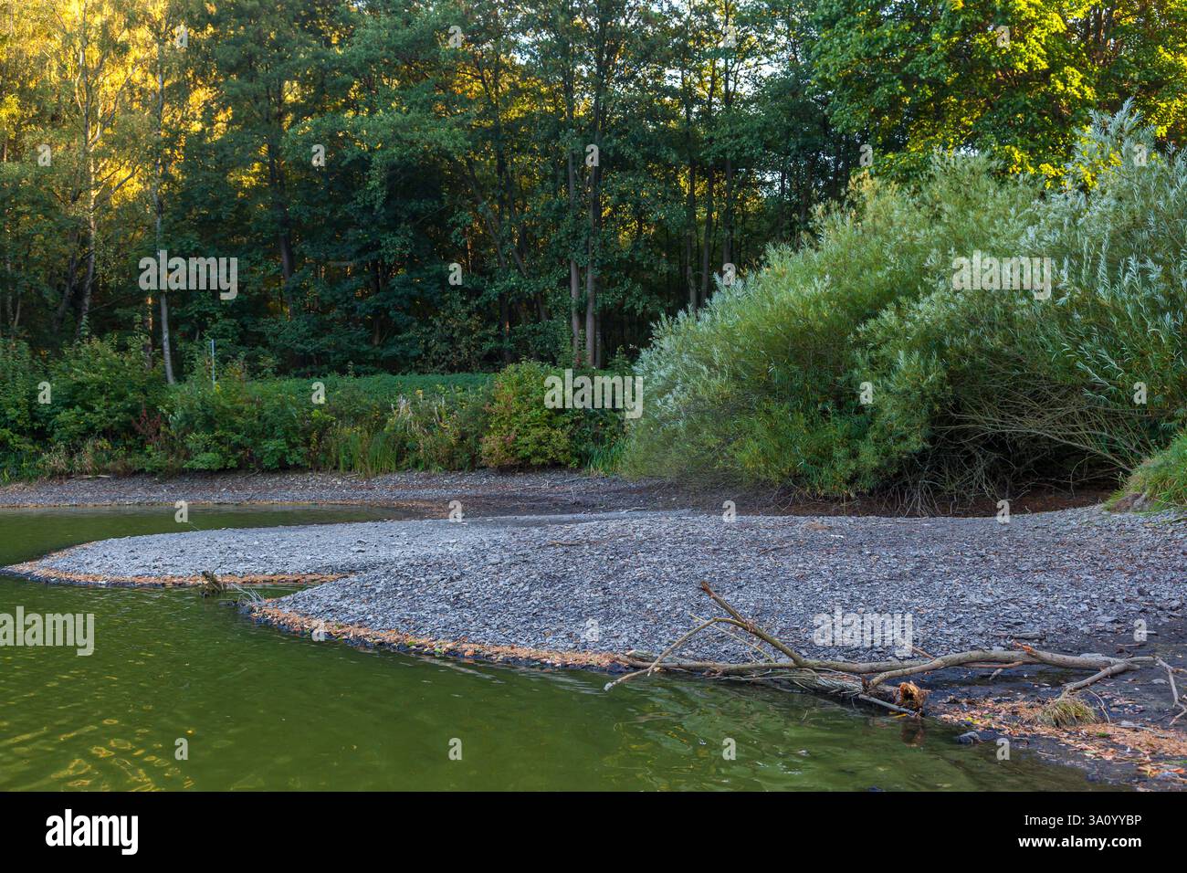 Siehe Bergsee Güntersberge Harz Selketal Wassermangel ausgetrocknet Stockfoto