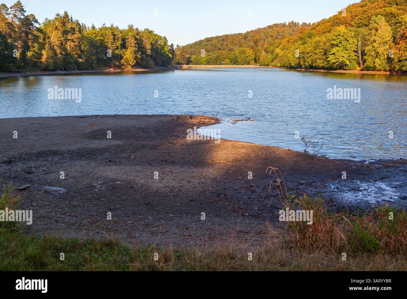 Siehe Bergsee Güntersberge Harz Selketal Wassermangel ausgetrocknet Stockfoto
