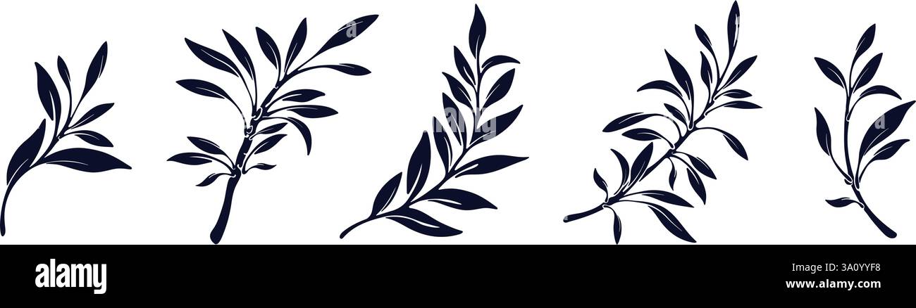 griechisches Olivenblatt. Vektorgrafik. Emblem für eine Auszeichnung. Vintage Champion-Schild. Sportliche grafische Silhouette. Symbolsatz der botanischen Pflanze. Packagin Stock Vektor