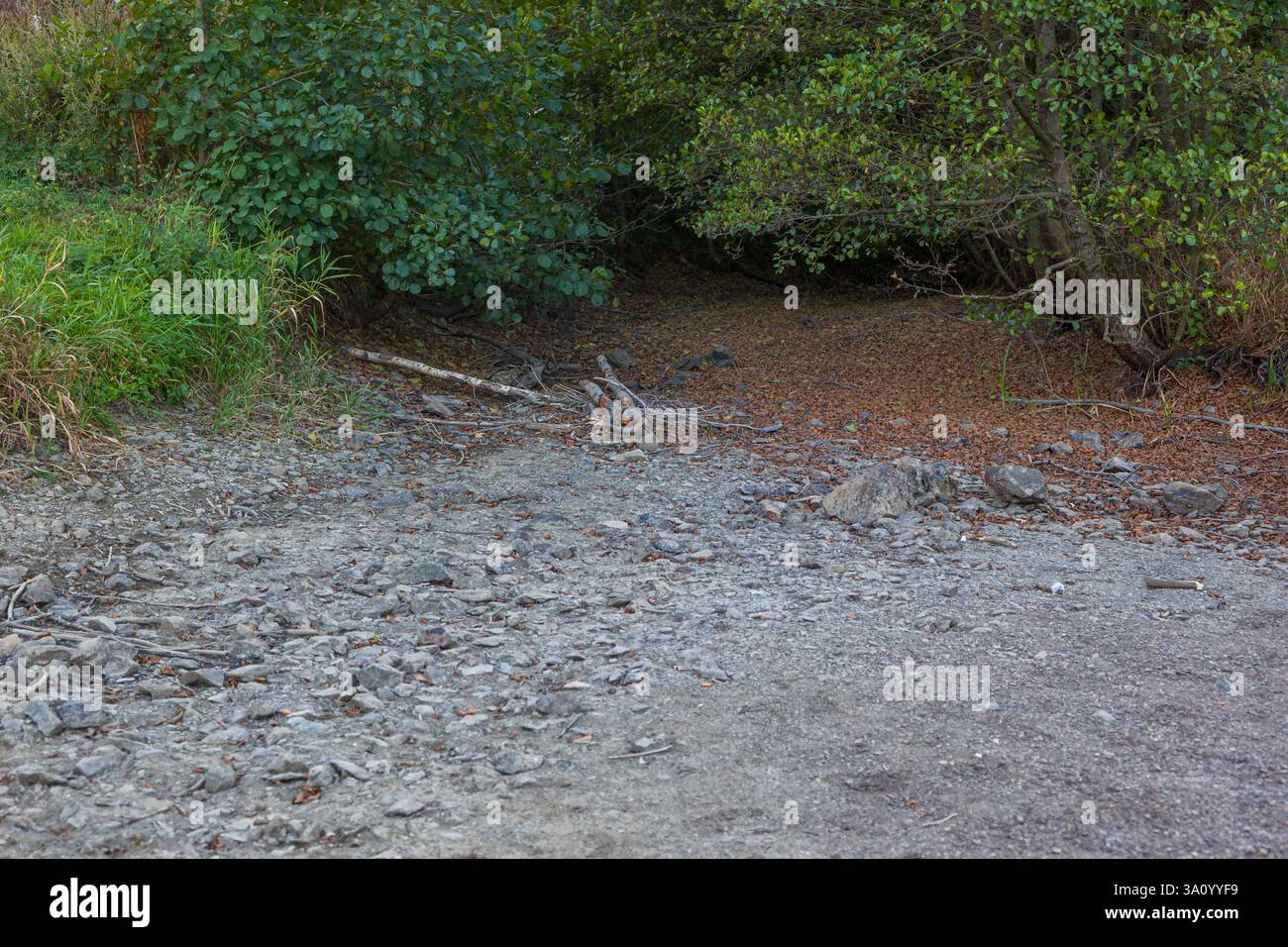 Siehe Bergsee Güntersberge Harz Selketal Wassermangel ausgetrocknet Stockfoto