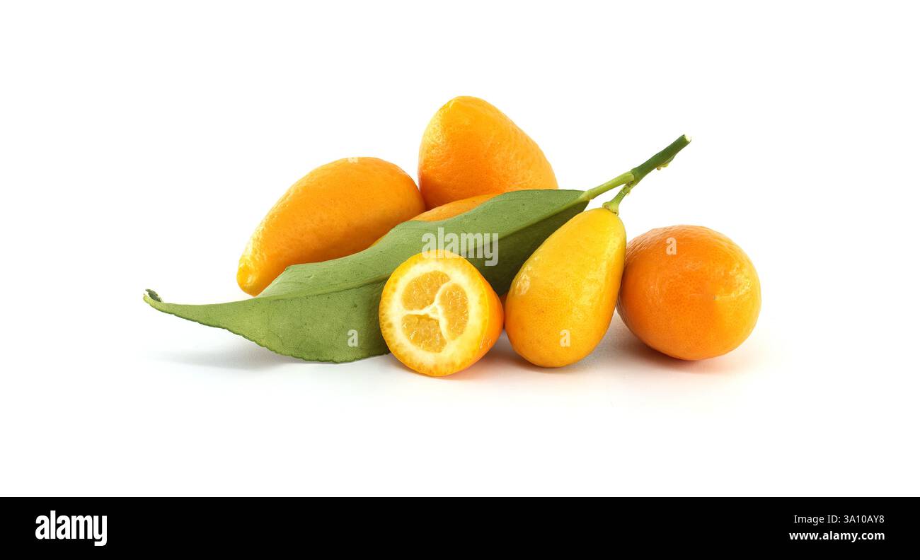 Mehrere reife Kumquats liegen auf einer weißen Oberfläche, von denen ein Kumquat in zwei Hälften geschnitten wird, um sein saftiges Fruchtfleisch und seine Samen zu enthüllen, umgeben von leuchtend grünen Blättern Stockfoto
