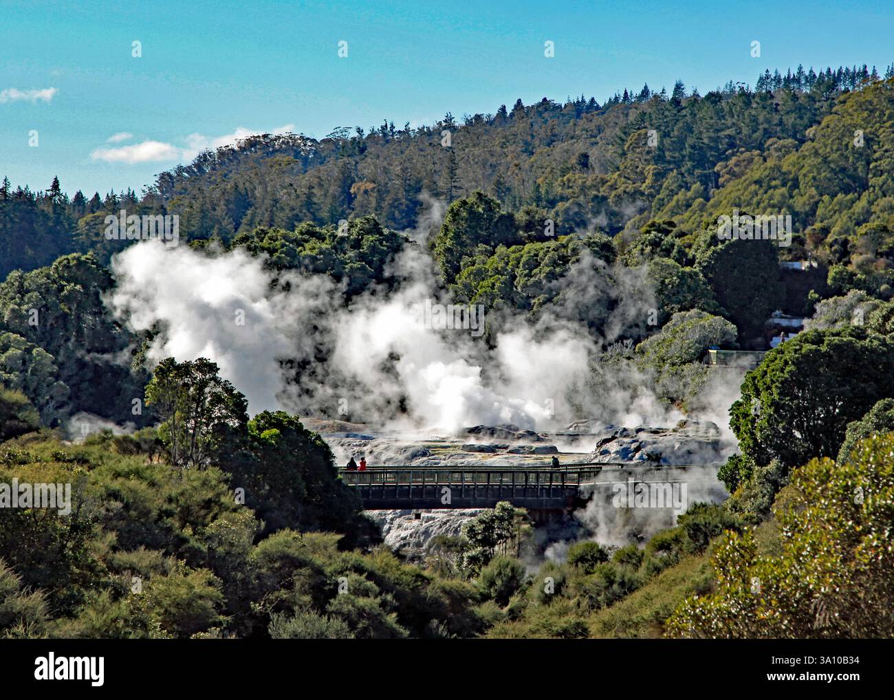 Geothermische Aktivität in Rotorua, Neuseeland Stockfoto