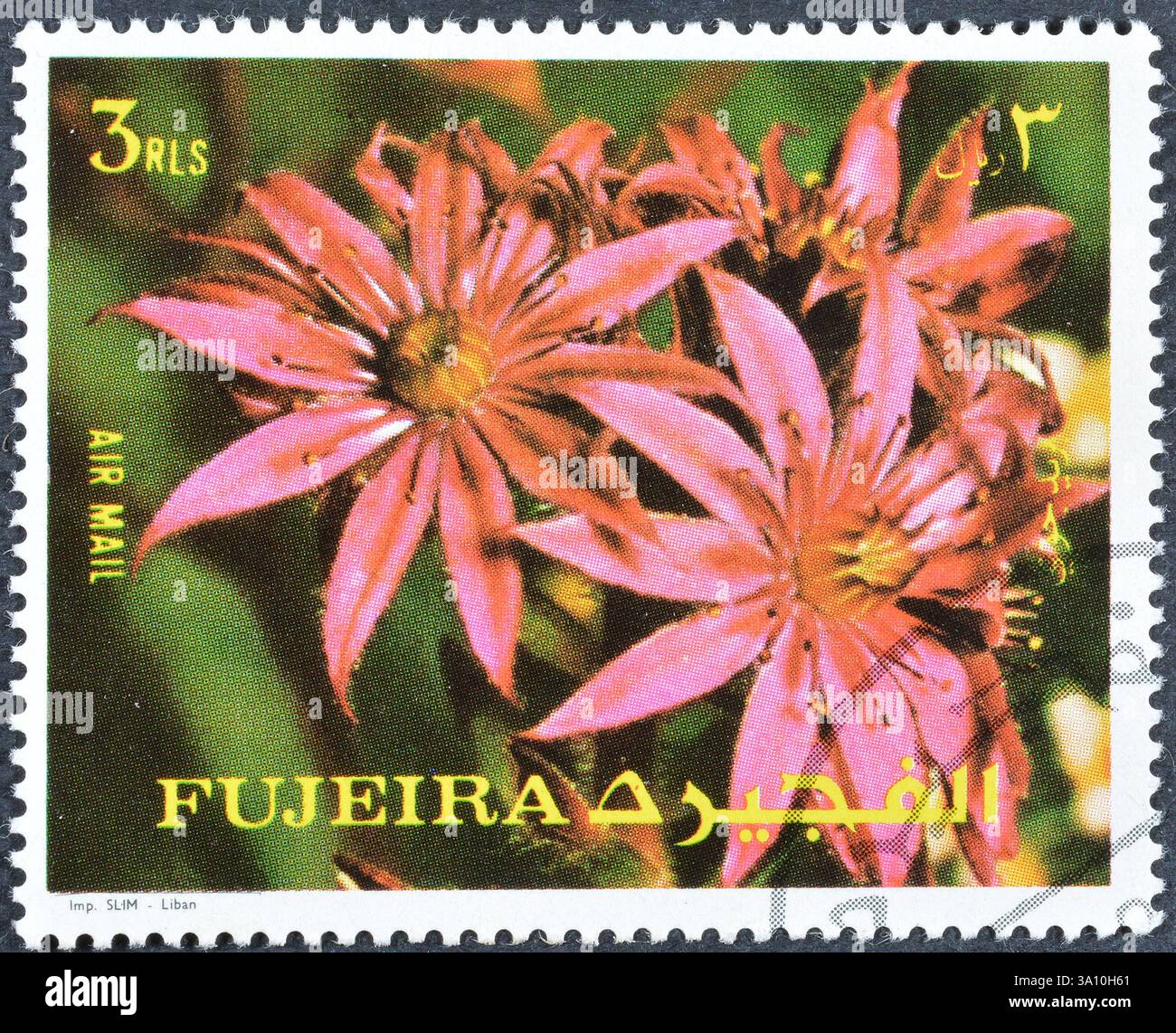 Gestempelte Briefmarke von Fujairah (Fujeira), die Blumen zeigt, um 1972. Stockfoto