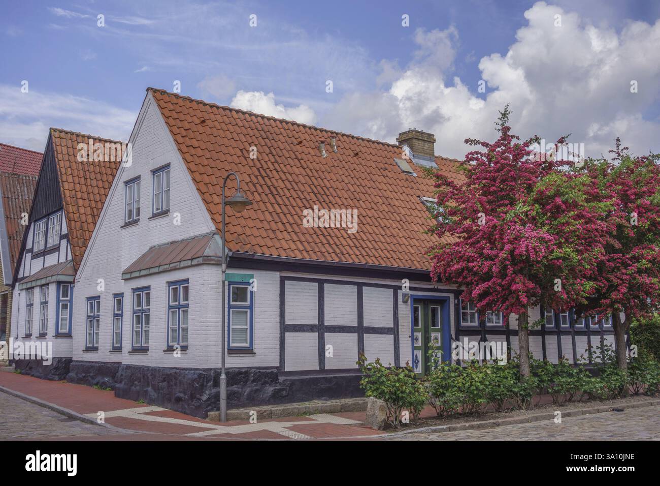 Schönes Fachwerkhaus mit niedrigem Dach und blühenden Rosen an einem sonnigen Tag, kappeln, schlei, deutschland Stockfoto